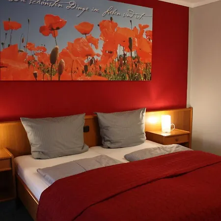 Hotel Rot 3*